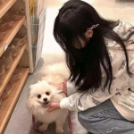 全境戒备破解版下载